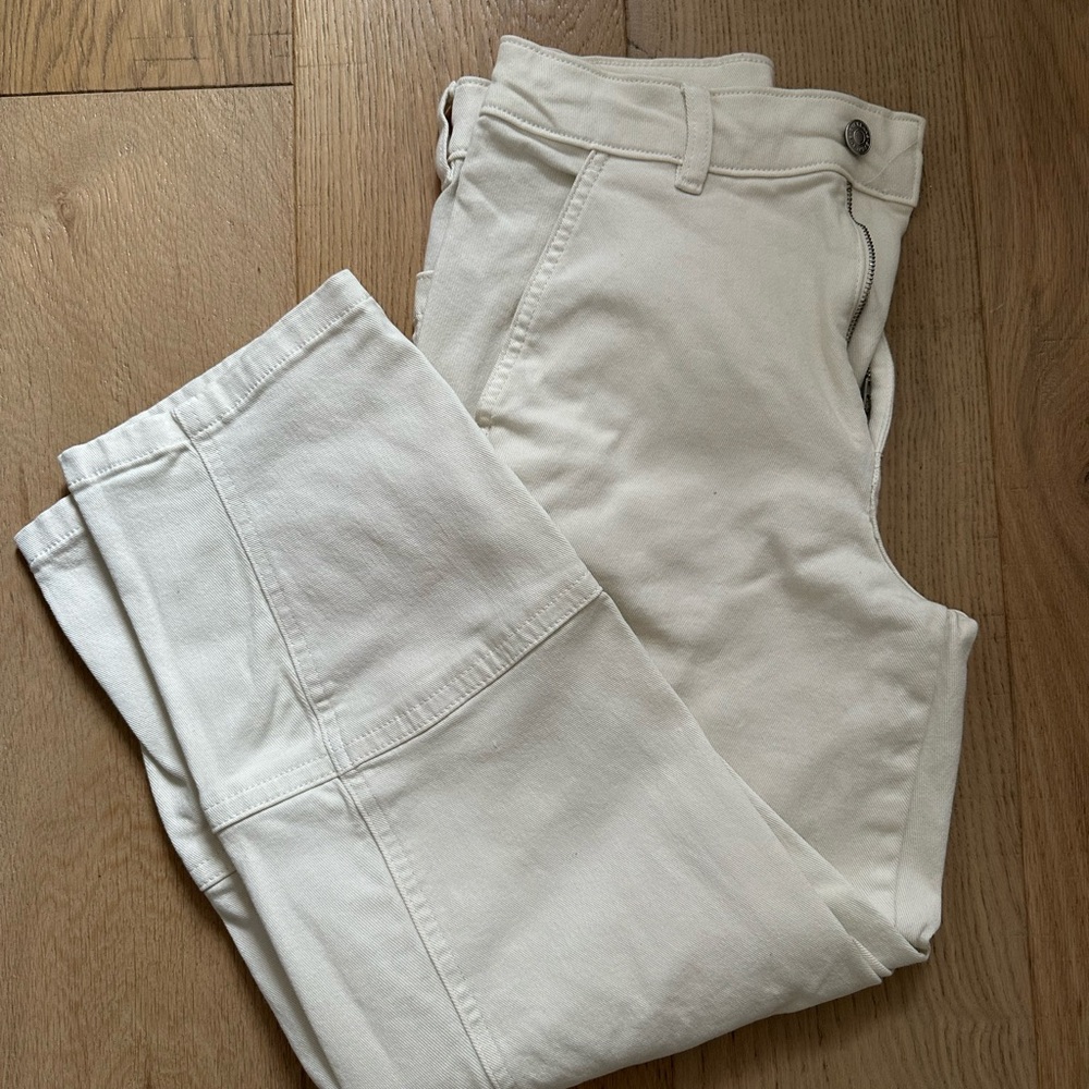 Everlane Utility Barrel Pants